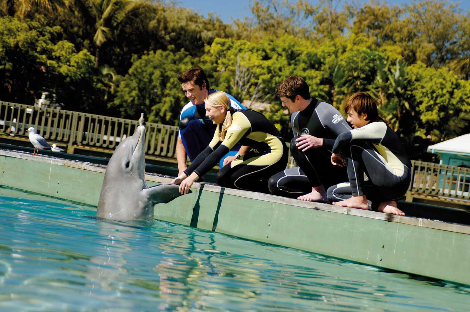 Teens can be a trainer for a day at Sea World on the Gold Coast | Great getaways kids will love