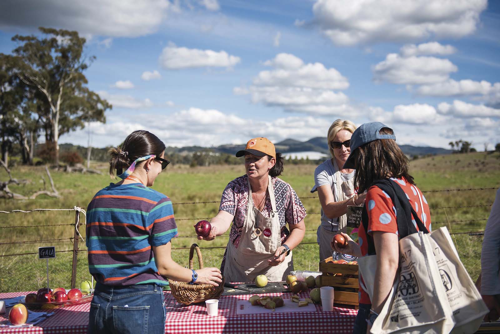 Connect with local producers at markets and festivals in Orange, NSW | A taste of Orange