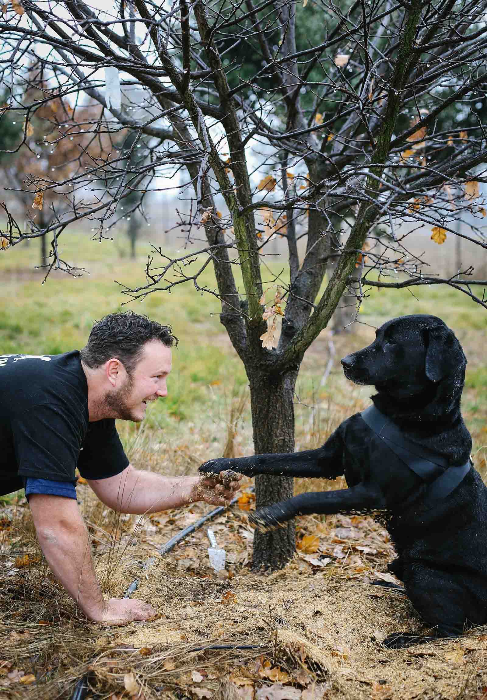 Jayson Mesman and one of his hunters at The Truffle Farm, Canberra | Join the truffle hunt