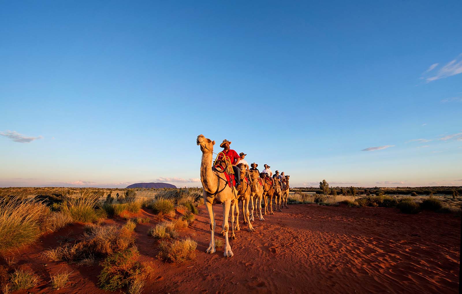 Camel touring at Uluru | 10 ways to see Uluru