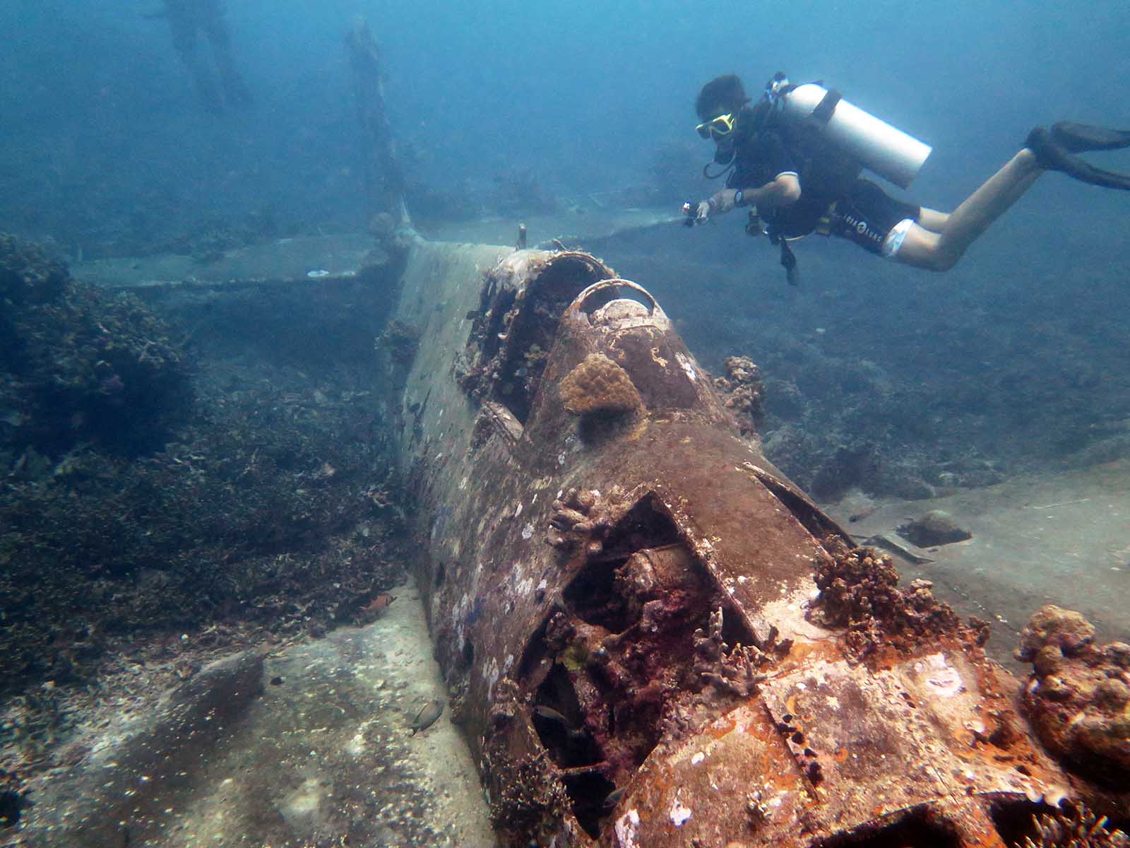 Diving above the wreck of a Hellcat underwater near Gizo | Diving in the Solomon Islands