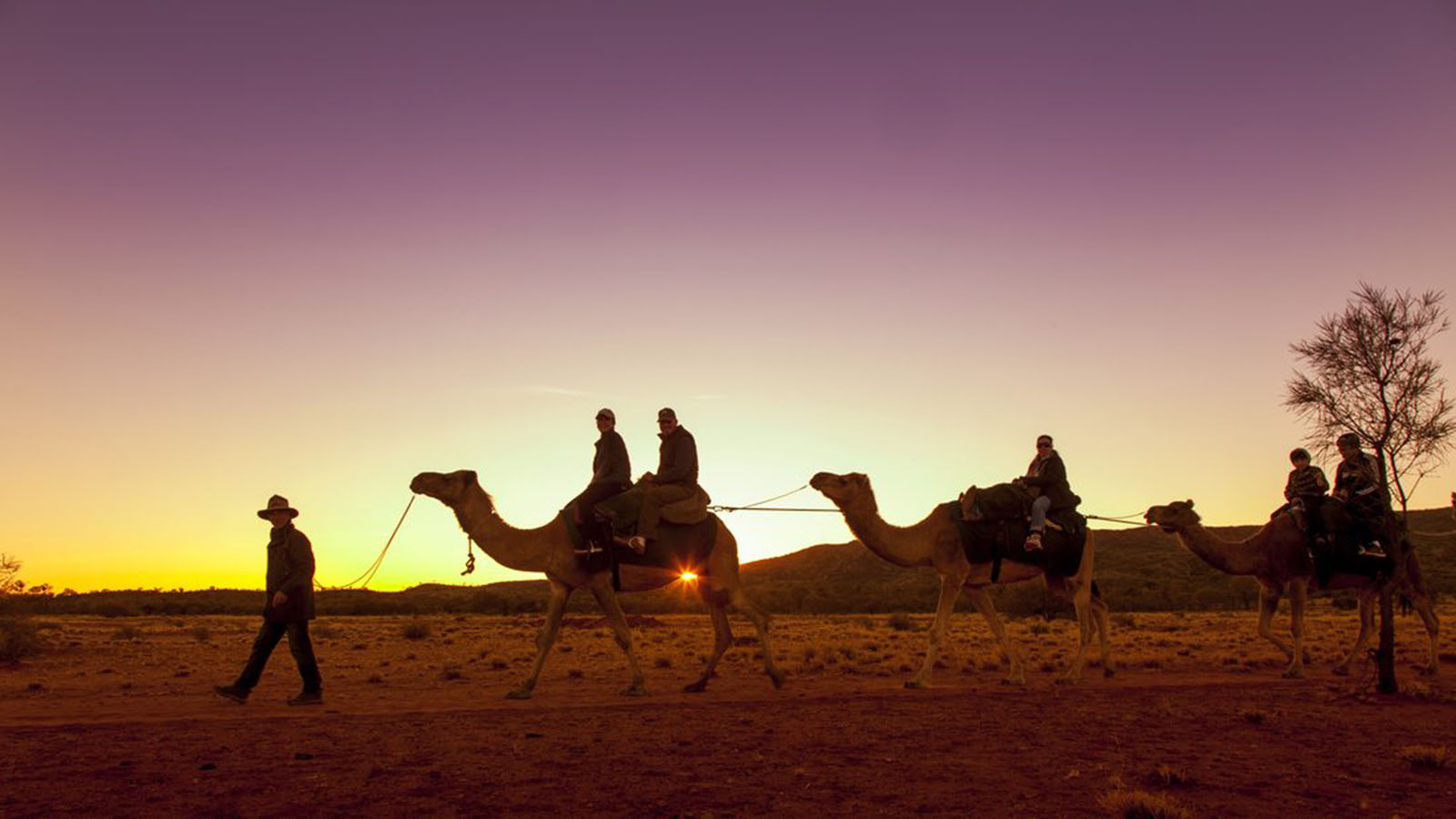 A sunset camel trek near the Macdonnell Ranges with Pyndan Camel Tracks tours | Welcome to Alice Springs