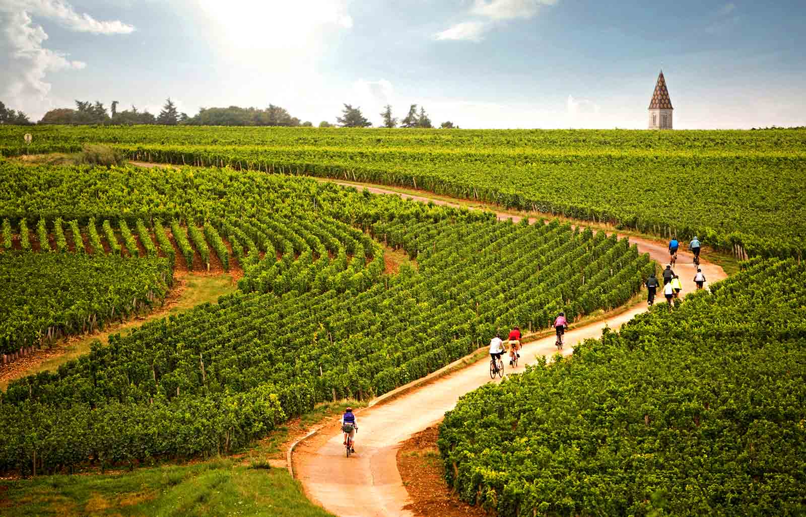 Biking through vineyards of Burgundy, France | Why slow travel is gaining momentum