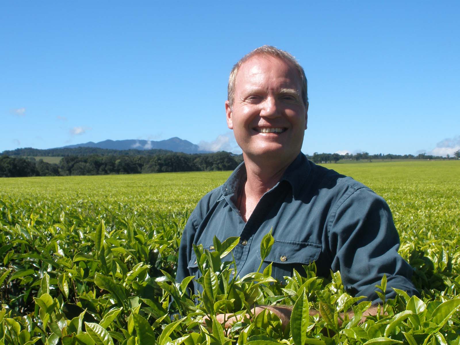 Nerada tea plantation director Tony Poyner | Discover Queensland's tropical tea trail