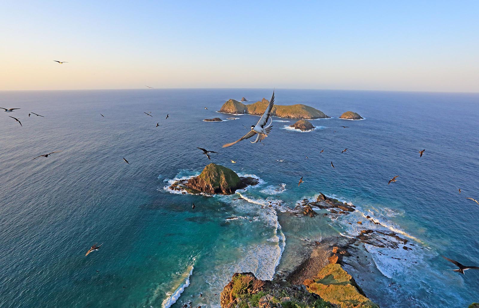Birds flying high above Lord Howe Island, looking out towards Admiralty Islands | Lord Howe Island, a natural paradise