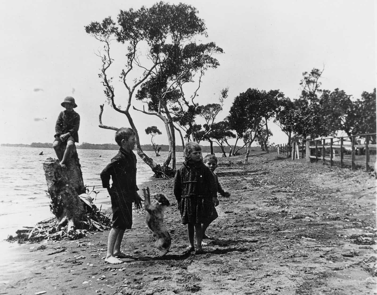 An historical photo of the beach at Cribb Island | Lost Island Remembered