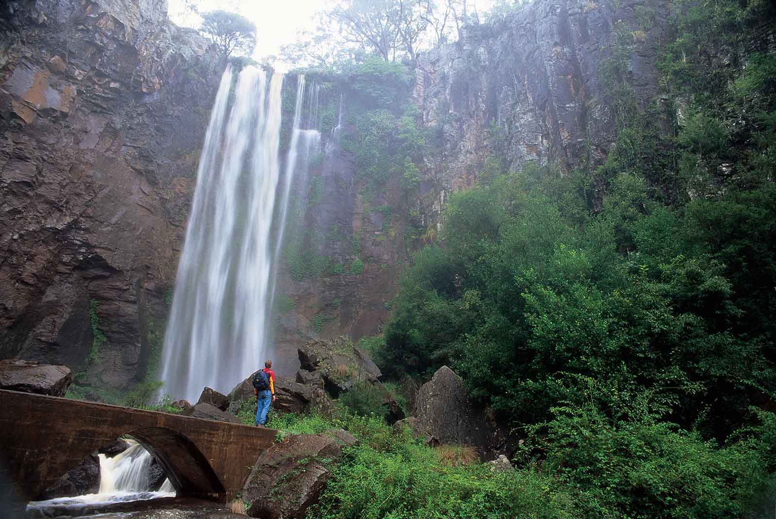 Queen Mary Falls, KIllarney | Image: Tourism and Events Queensland 