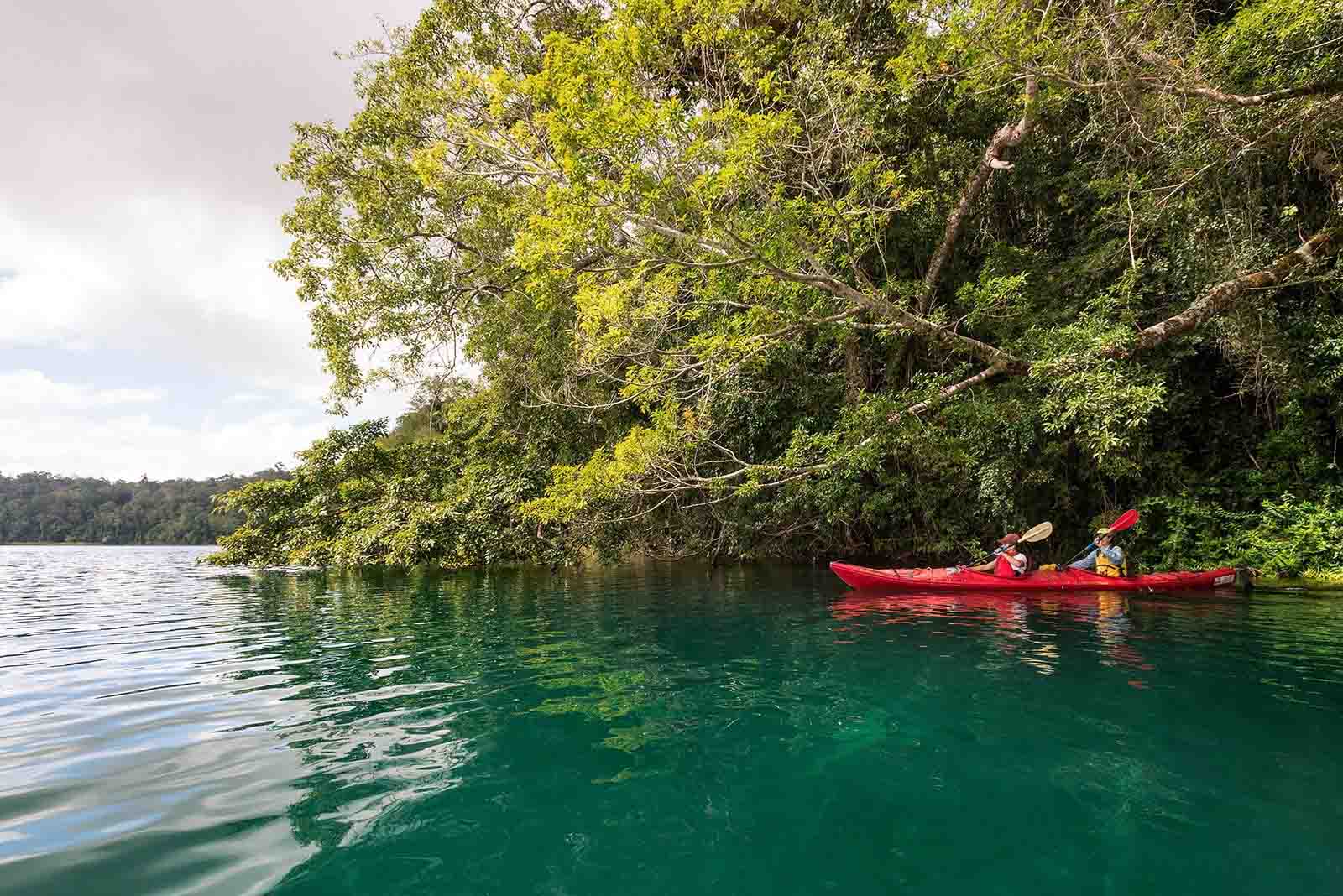 Lake Barrine is popular for hiking and kayaking | Discover Queensland's tropical tea trail