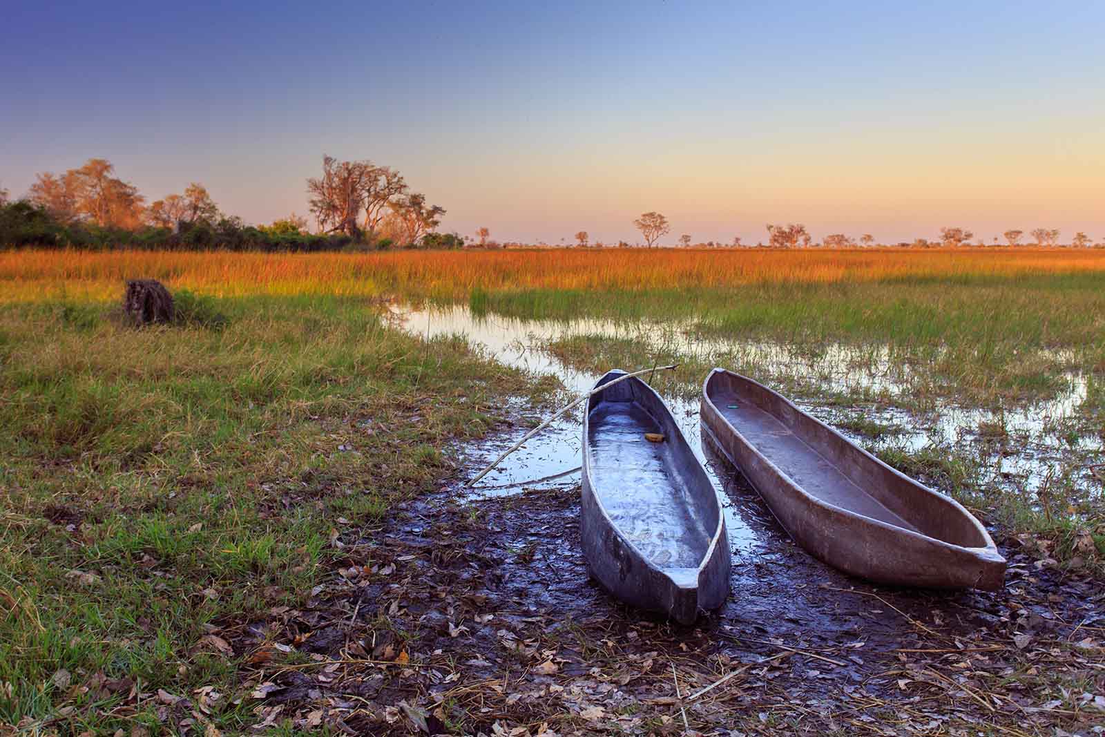 Volunteers work in remote communities like the Okavango Delta in Botswana | Voluntourism: Travel for a cause