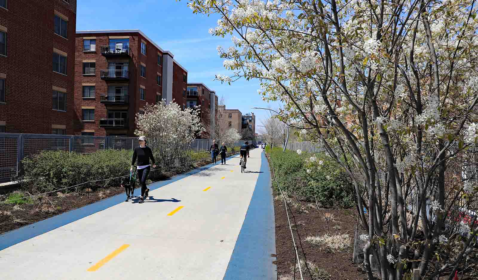 The 606 elevated bike and walk path runs through Logan Square, Chicago | See Chicago like a local