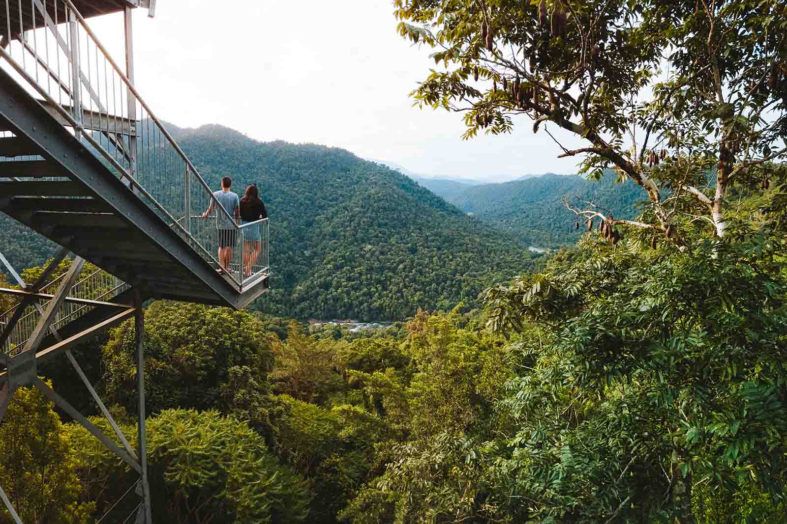 Mamu Tropical Skywalk in the Wooroonooran National Park