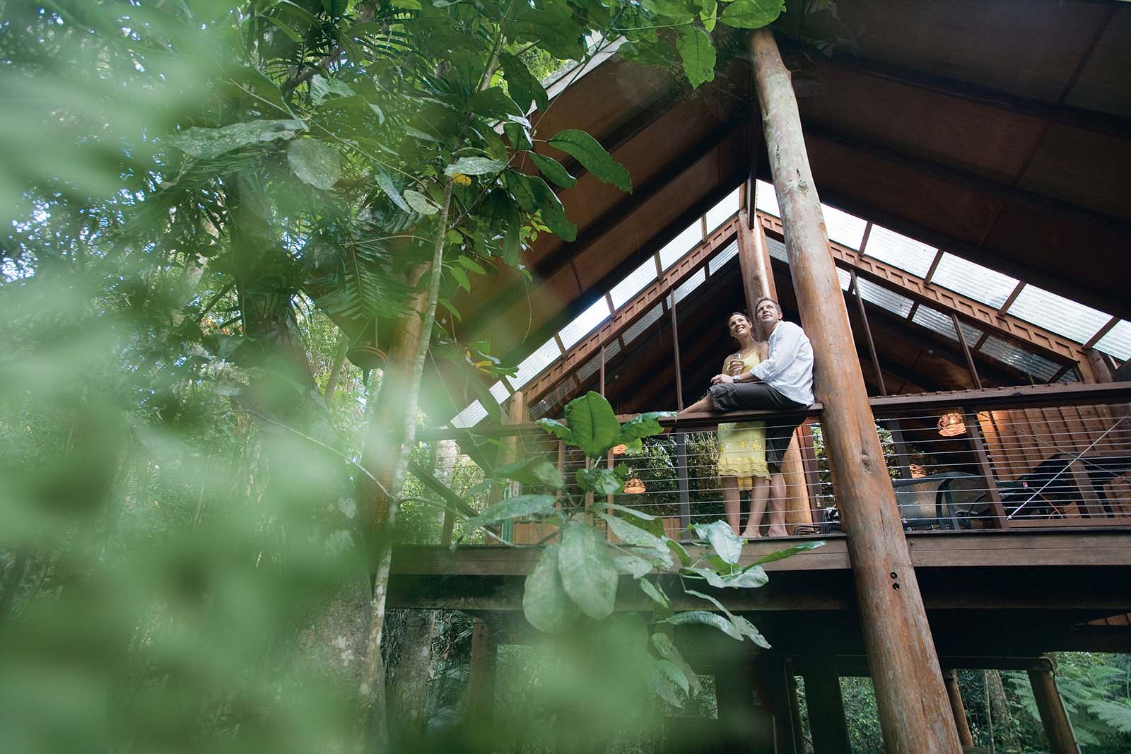 The Canopy Treehouses near Malanda, Tropical North Queensland | Discover Queensland's tropical tea trail