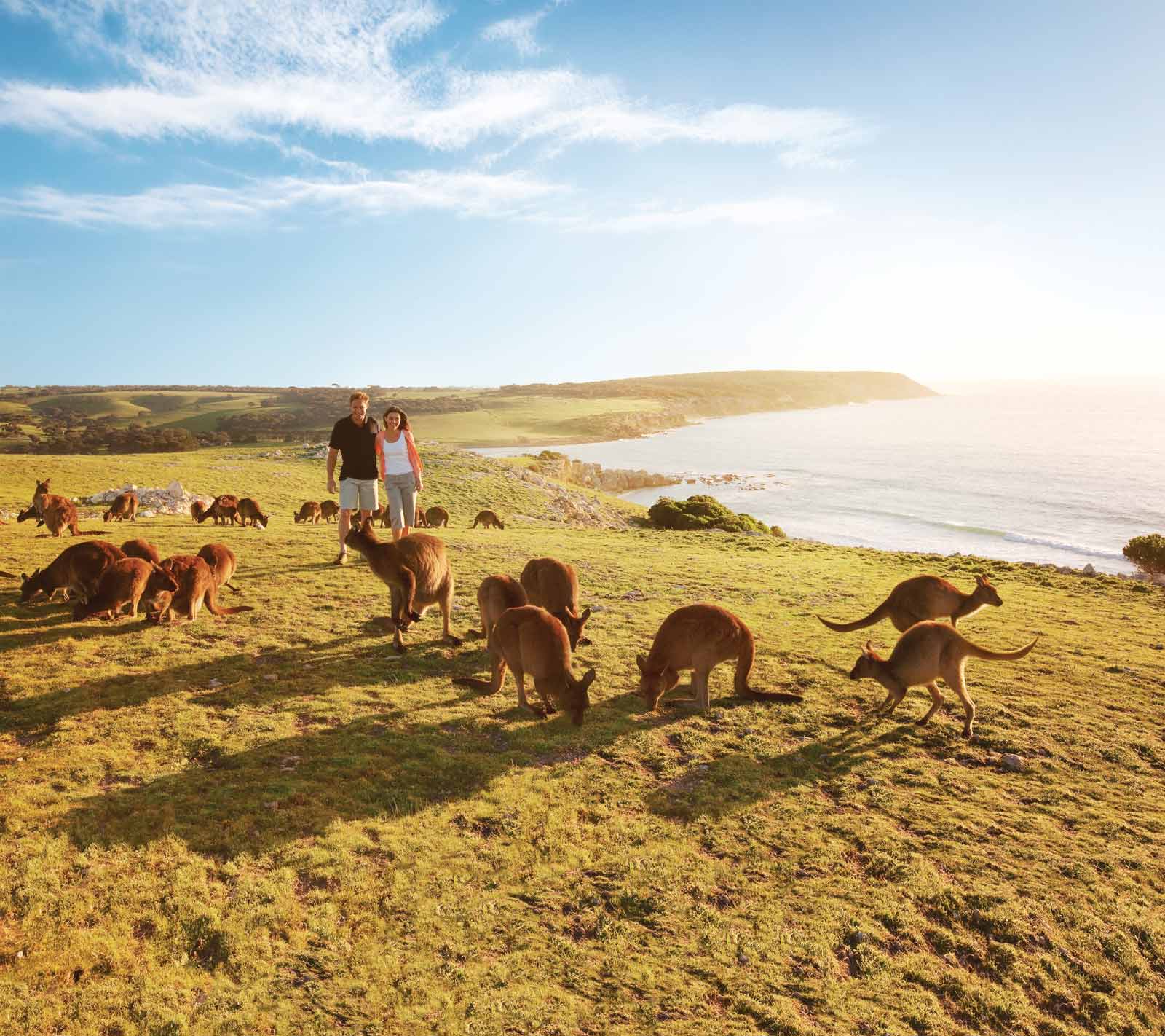Kangaroo Island, South Australia Kangaroo Island, South Australia