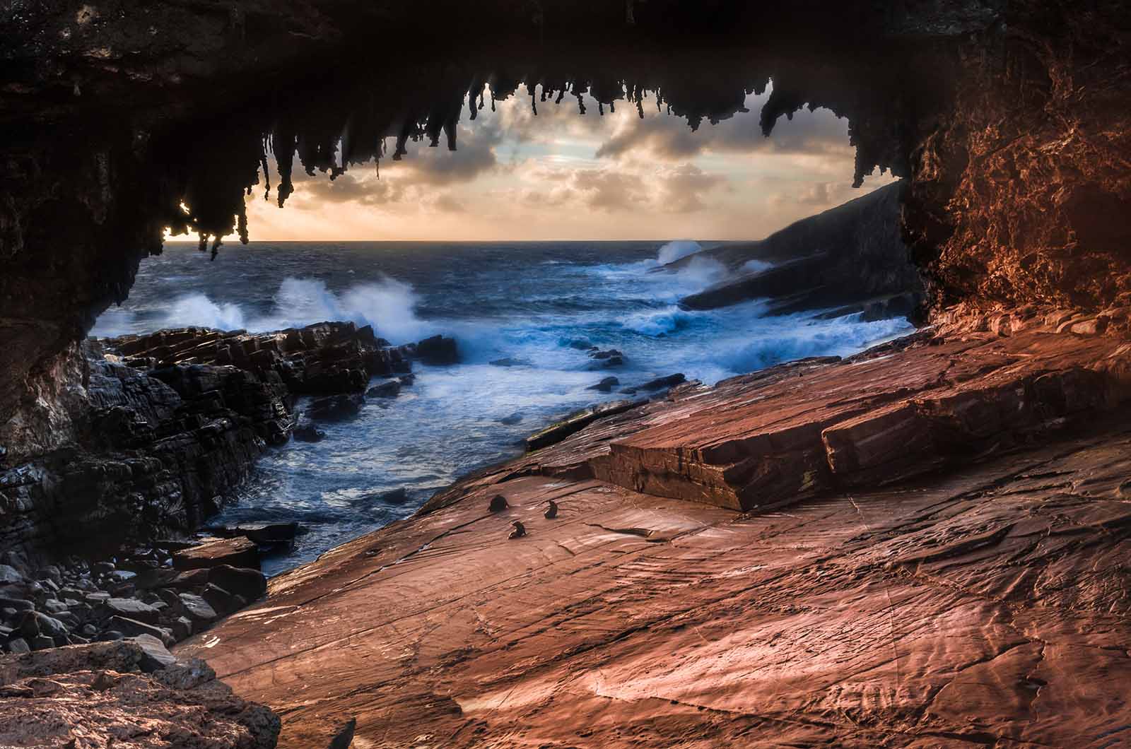 Admirals Arch, Kangaroo Island | 5 reasons to visit Kangaroo Island Admirals Arch, Kangaroo Island | 5 reasons to visit Kangaroo Island