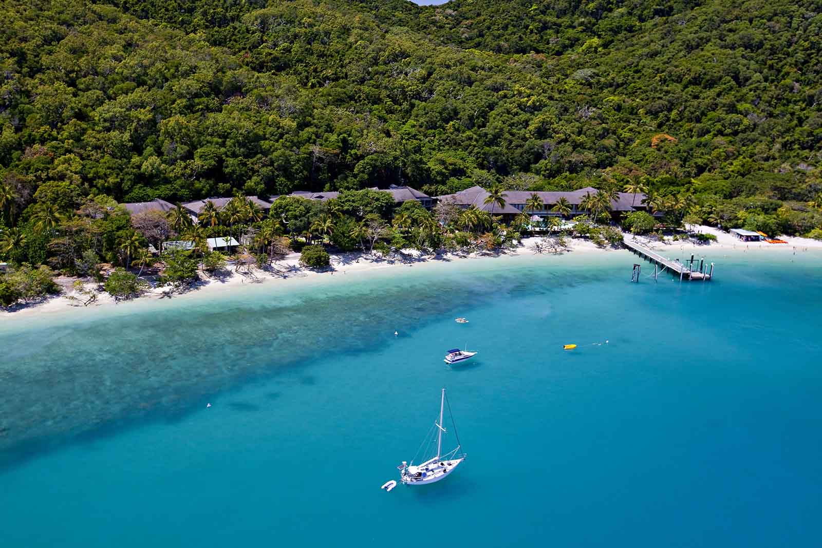 Fitzroy Island Resort, Great Barrier Reef, Queensland | The trees helping to save the reef Fitzroy Island Resort, Great Barrier Reef, Queensland | The trees helping to save the reef