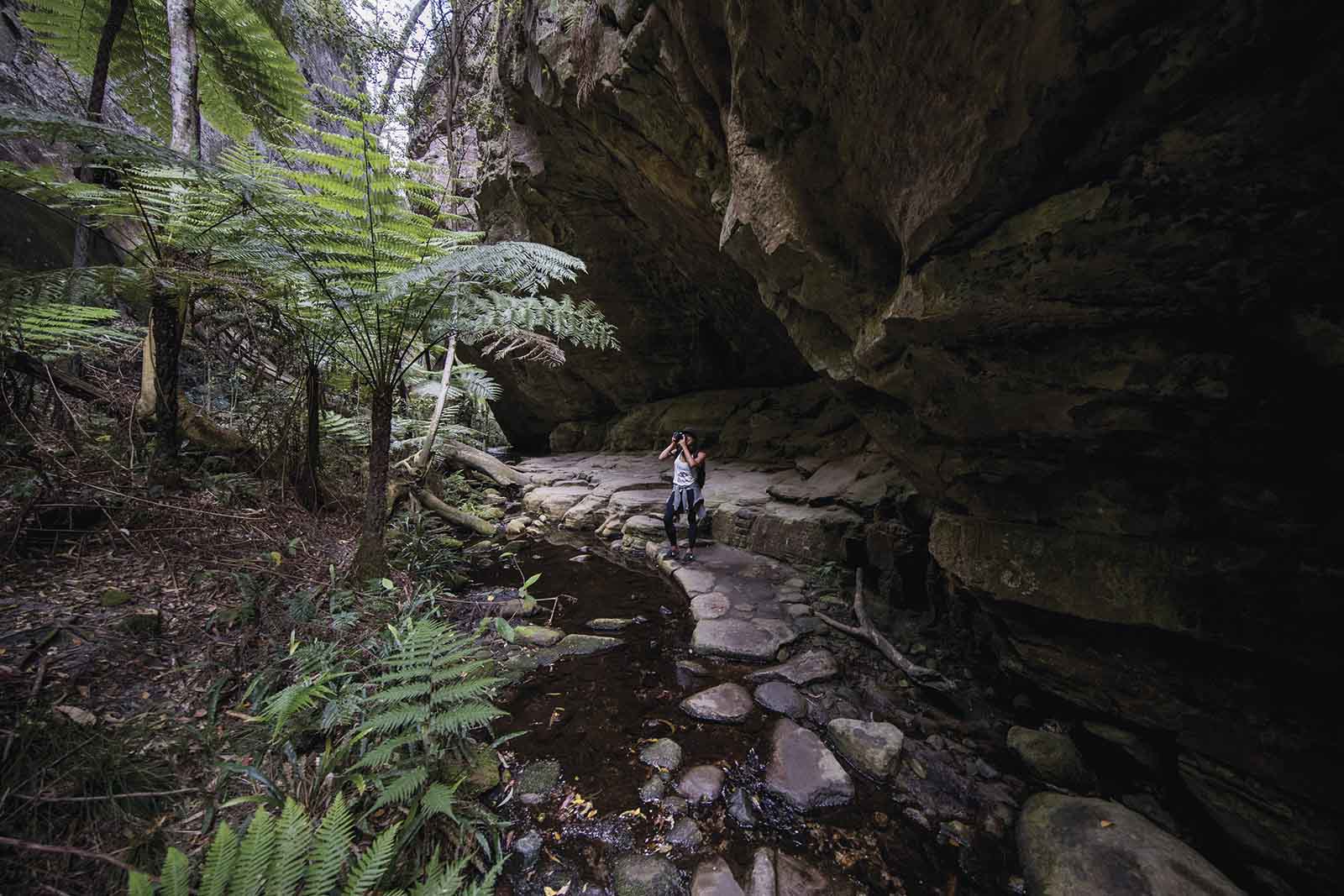 Exploring Carnarvon Gorge | Four of the best day trips from Roma