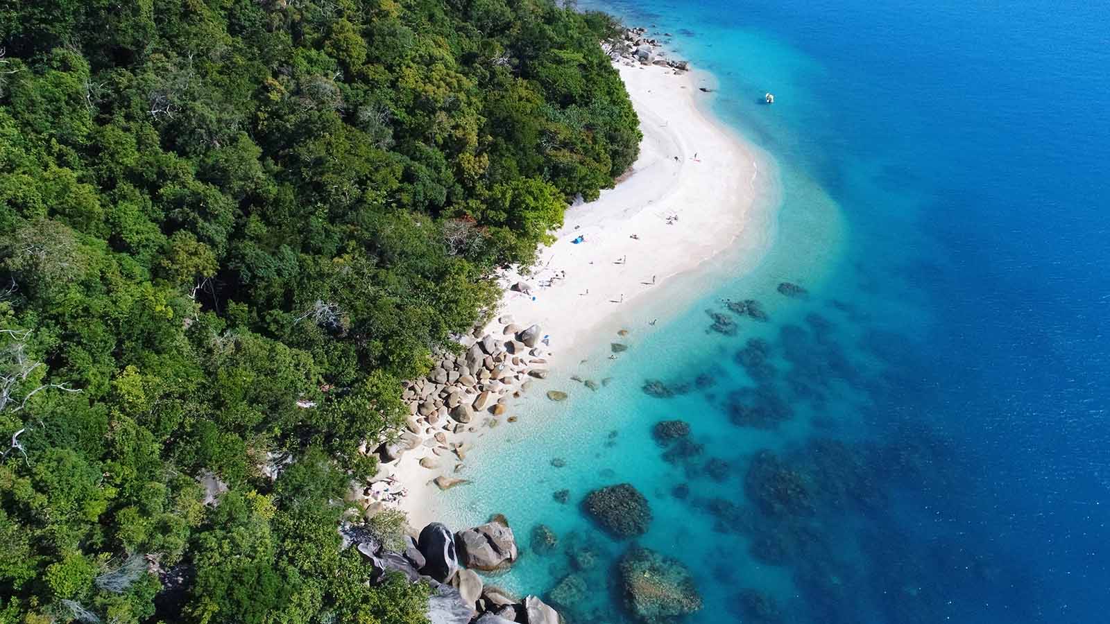 Nudey Beach, Fitzroy Island, Great Barrier Reef, Queensland | The trees helping to save the reef