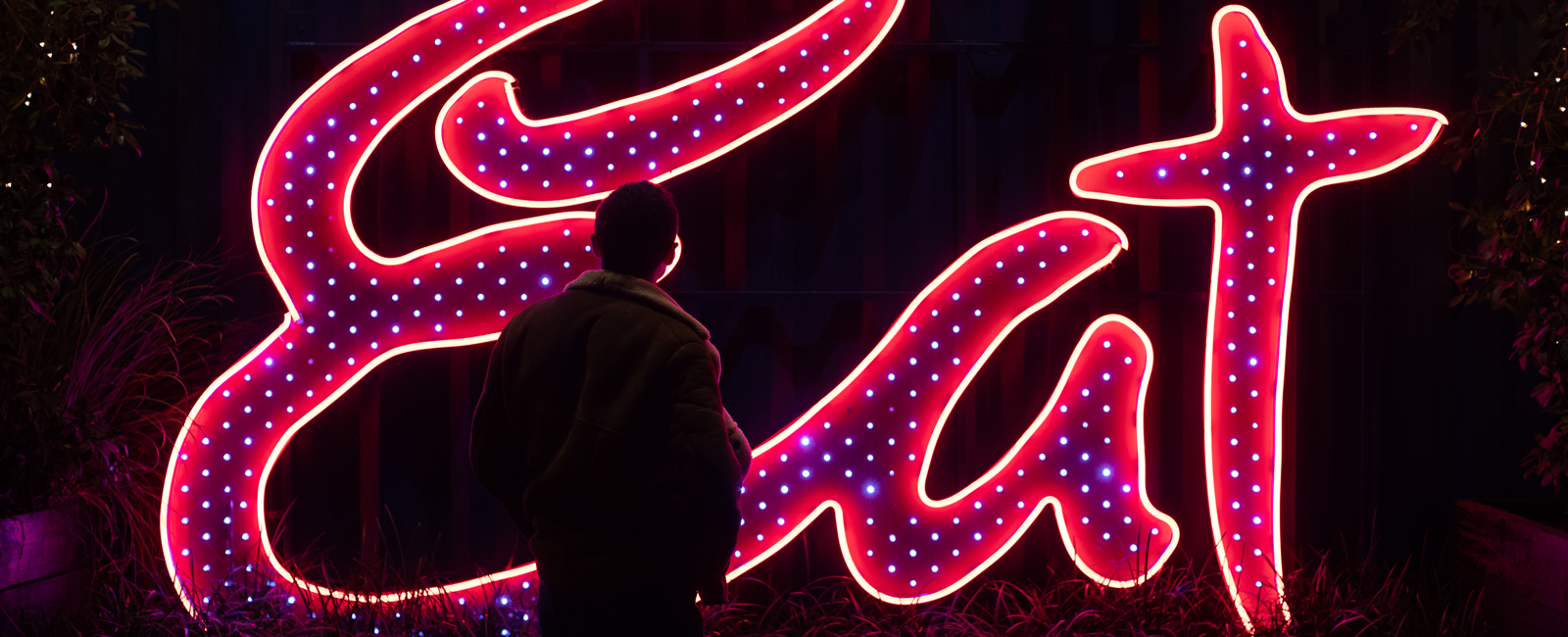 BNE Stories - Firefly Lighting BNE Stories - Firefly Lighting