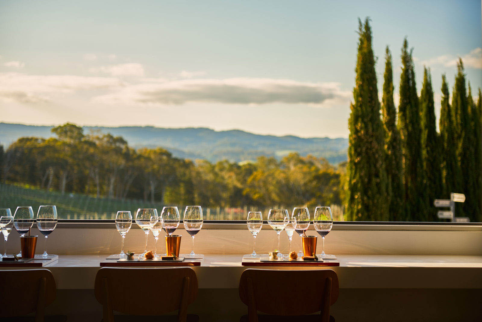 Overlooking the lush green hills at The Lane | 10 of the best wineries to visit in South Australia