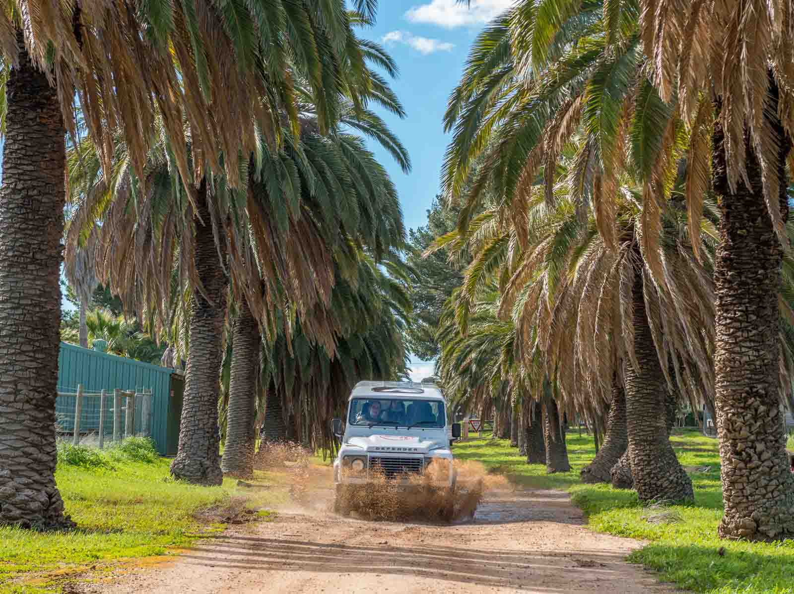 Explore the vineyard in you chauffeur-driven 4WD | 10 of the best wineries to visit in South Australia