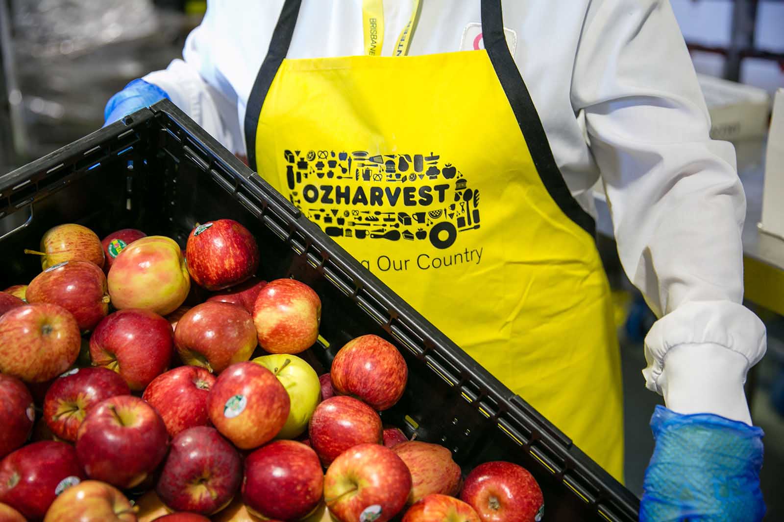 Excess food is collected by Airport Ambassadors volunteers for redistribution by OzHarvest