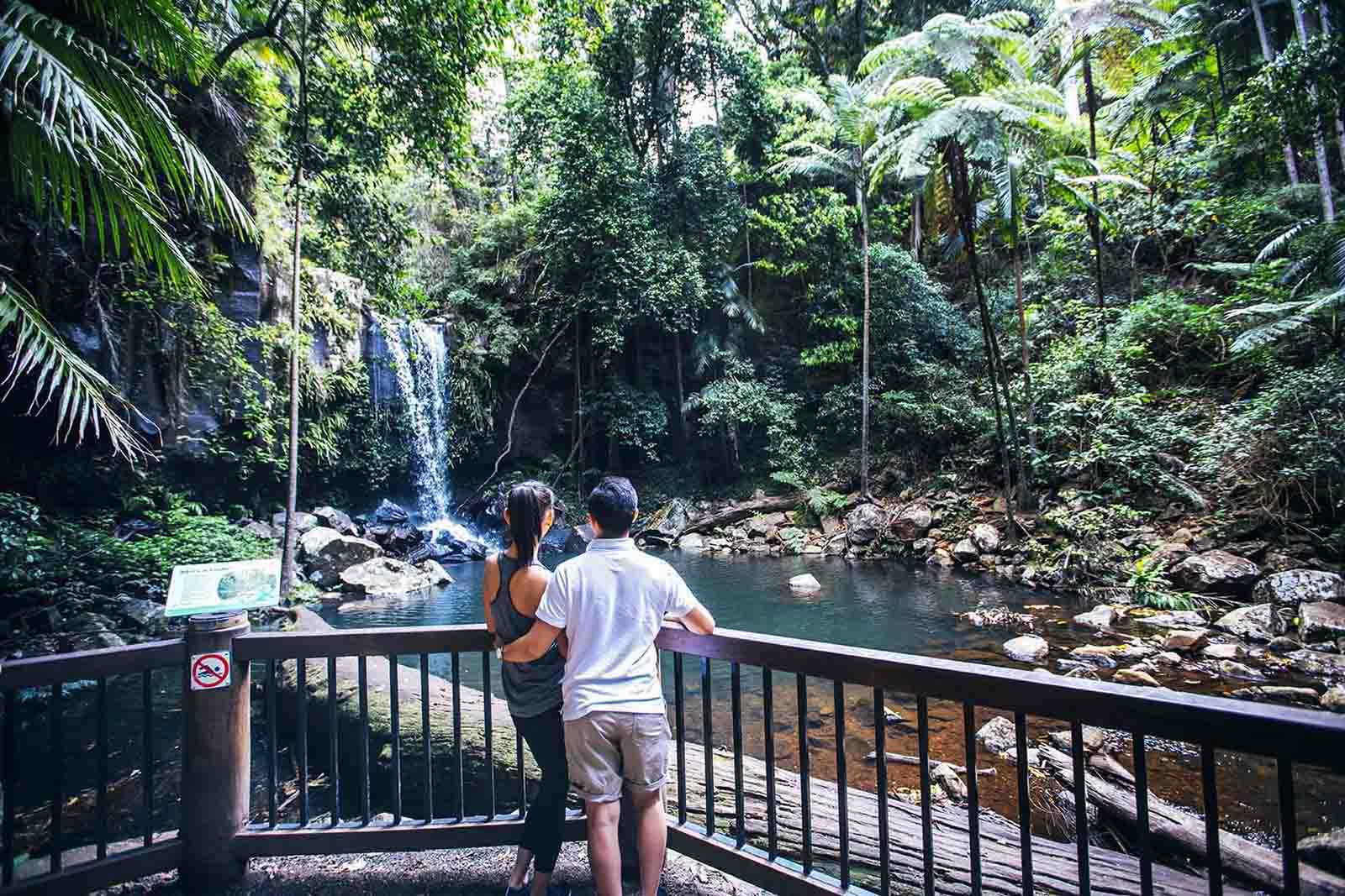 Curtis Falls Tamborine Mountain | Have wheels will travel: the best scenic drives from Brisbane Airport in a rental car