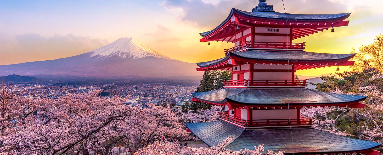 A japanese temple besides cherry blossoms with Mount Fuji in the background. 