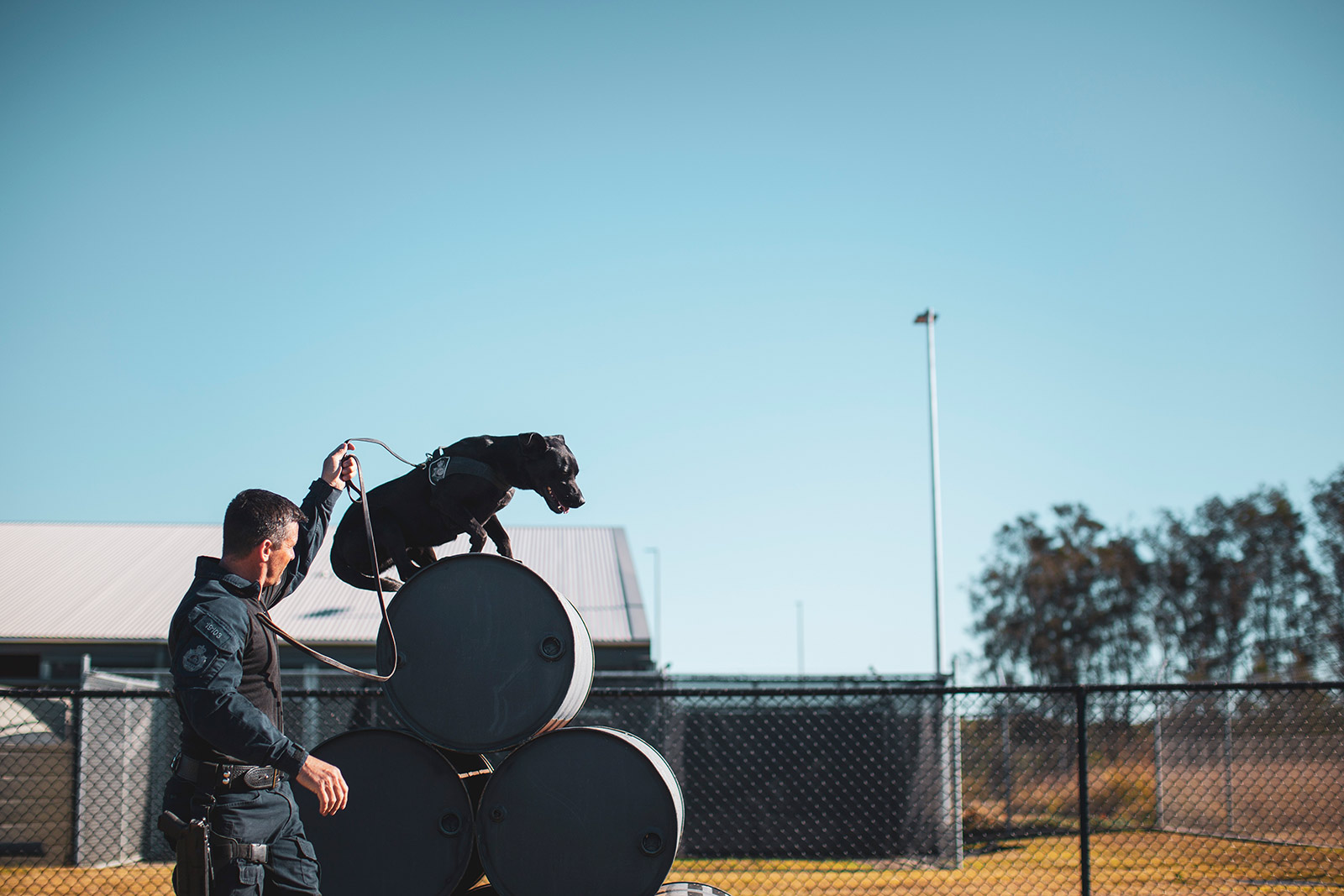 AFP detector dogs and their handlers undergo thorough and on-going training 