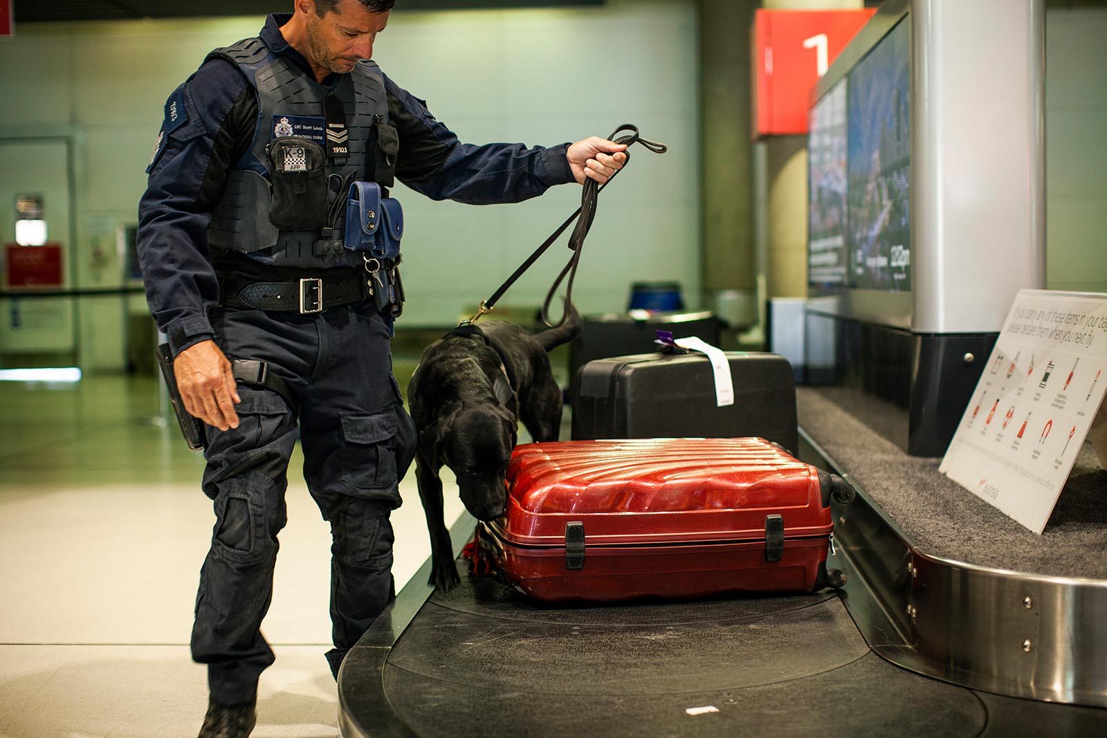 Naya is primarily involved in screening incoming and outgoing passengers, searching incoming baggage and cargo