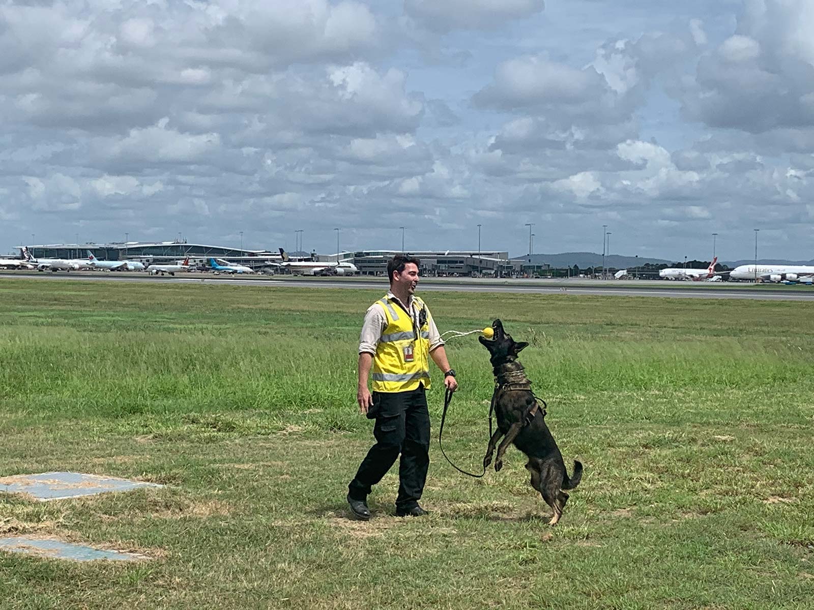 Jackson and Ozzie training on the BNE airfield