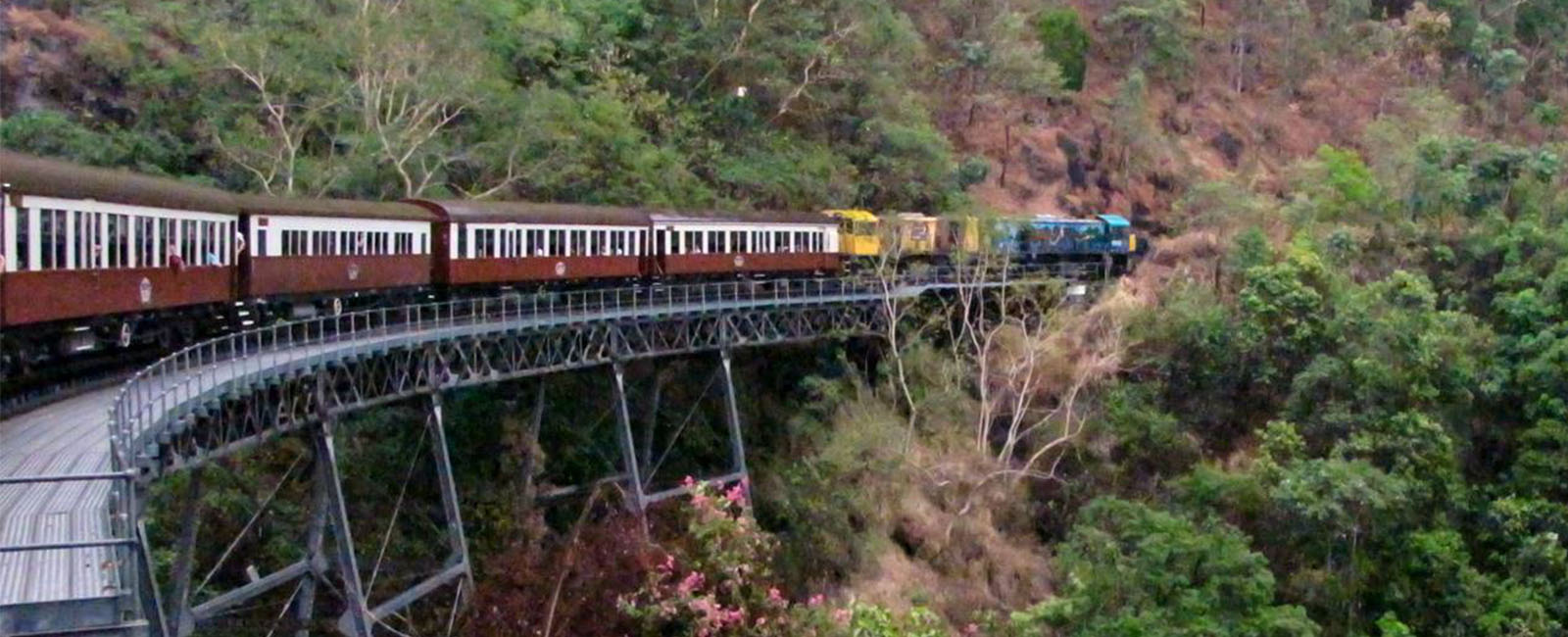 A train curves around a mountain in the rainforest