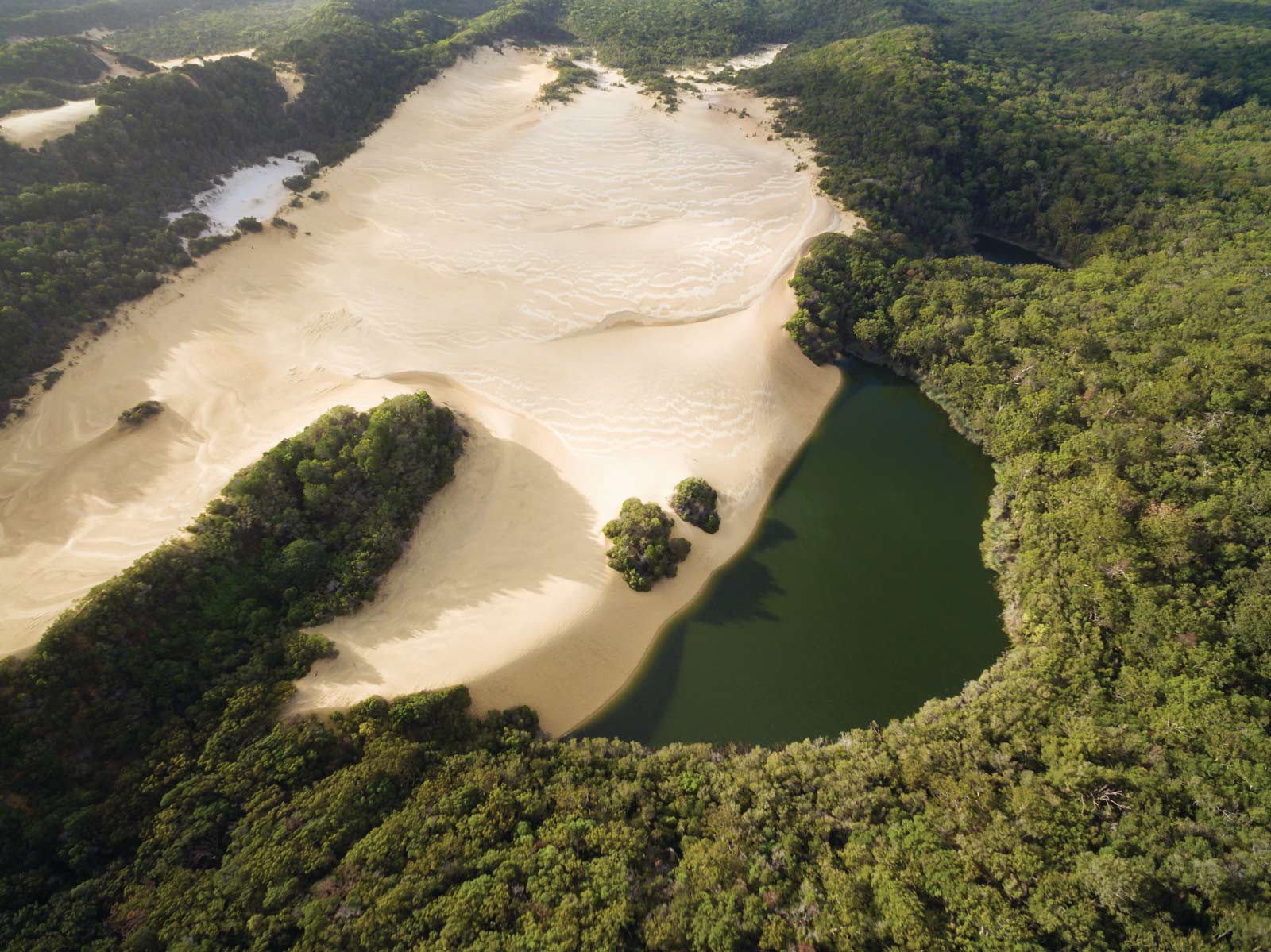 Lake Wabby, Fraser Island Lake Wabby, Fraser Island