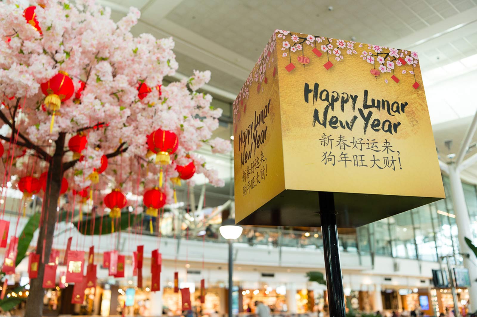 Lunar New Year celebrations in the International Terminal