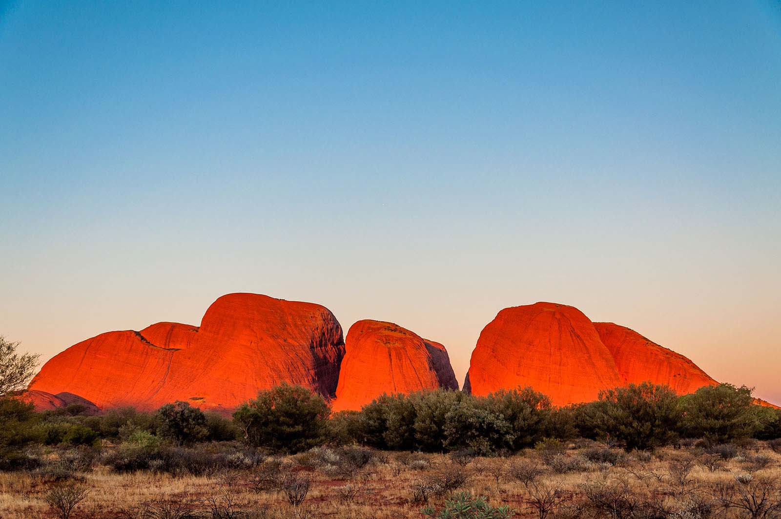 Kata Tjuta (The Olgas) | See Australia's Red Centre in a new light Kata Tjuta (The Olgas) | See Australia's Red Centre in a new light