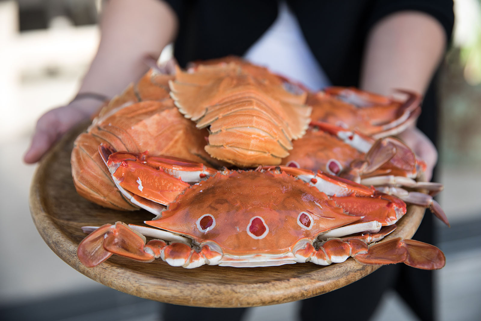 Moreton Bay Bugs Moreton Bay Bugs
