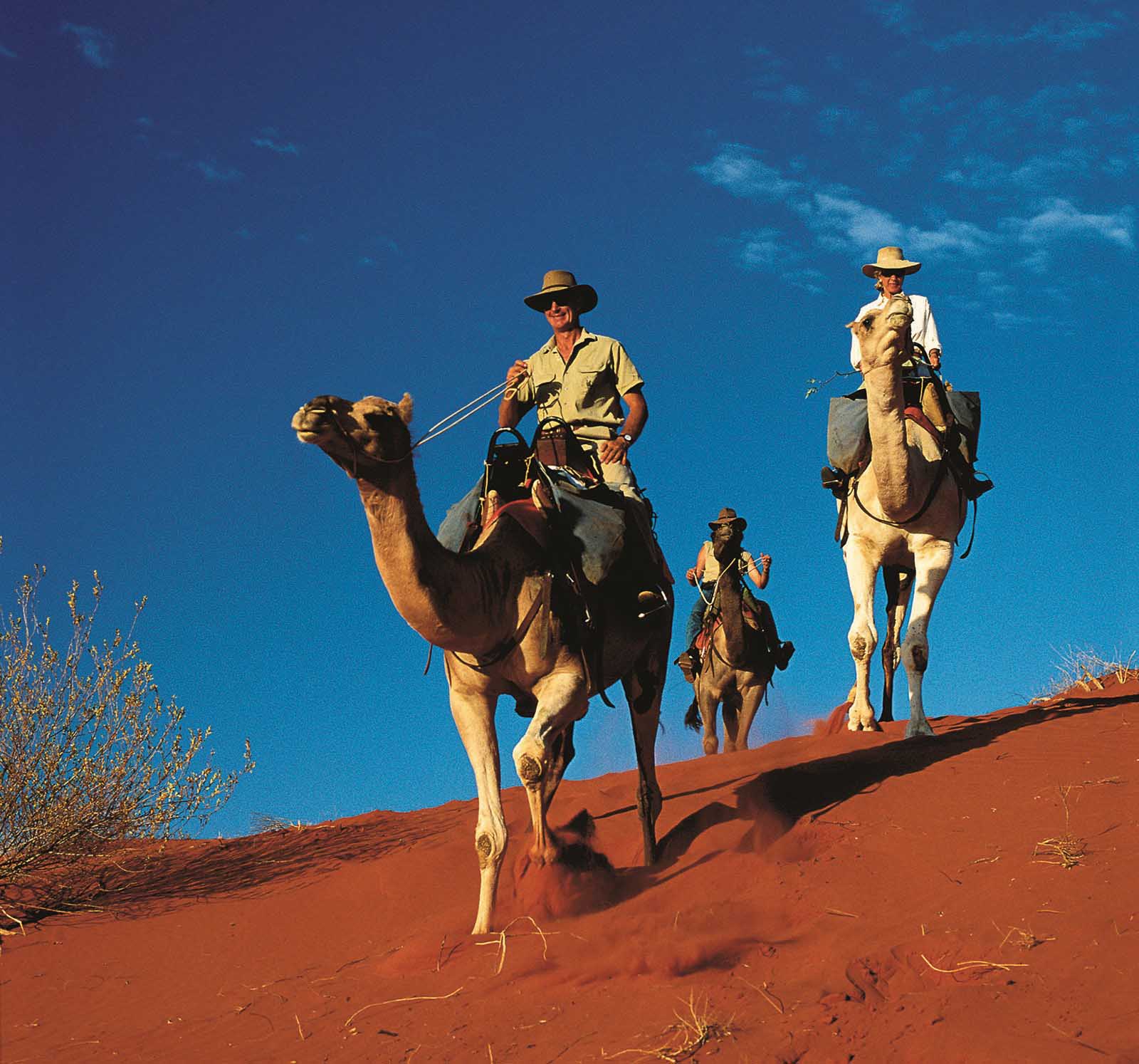 Camel Ride | See Australia's Red Centre in a new light