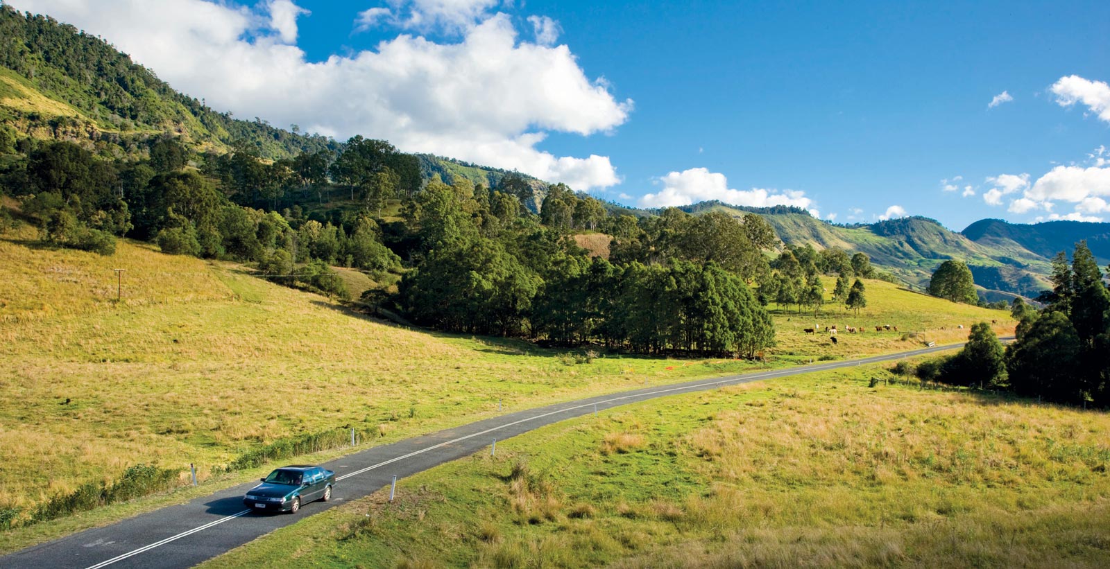 Driving through the Scenic Rim region