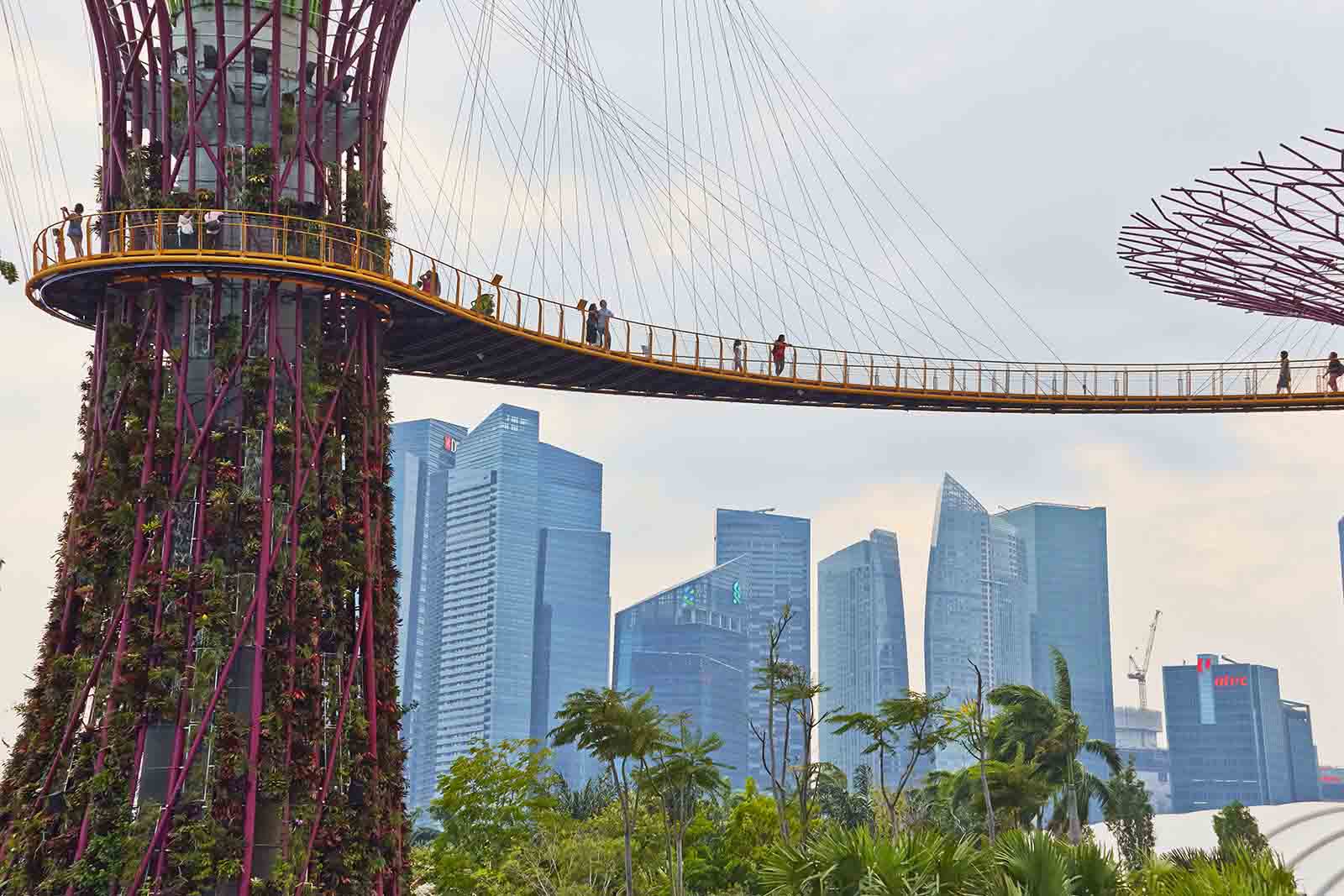 Gardens by the Bay Footbridge, Singapore | Top reasons to visit Singapore