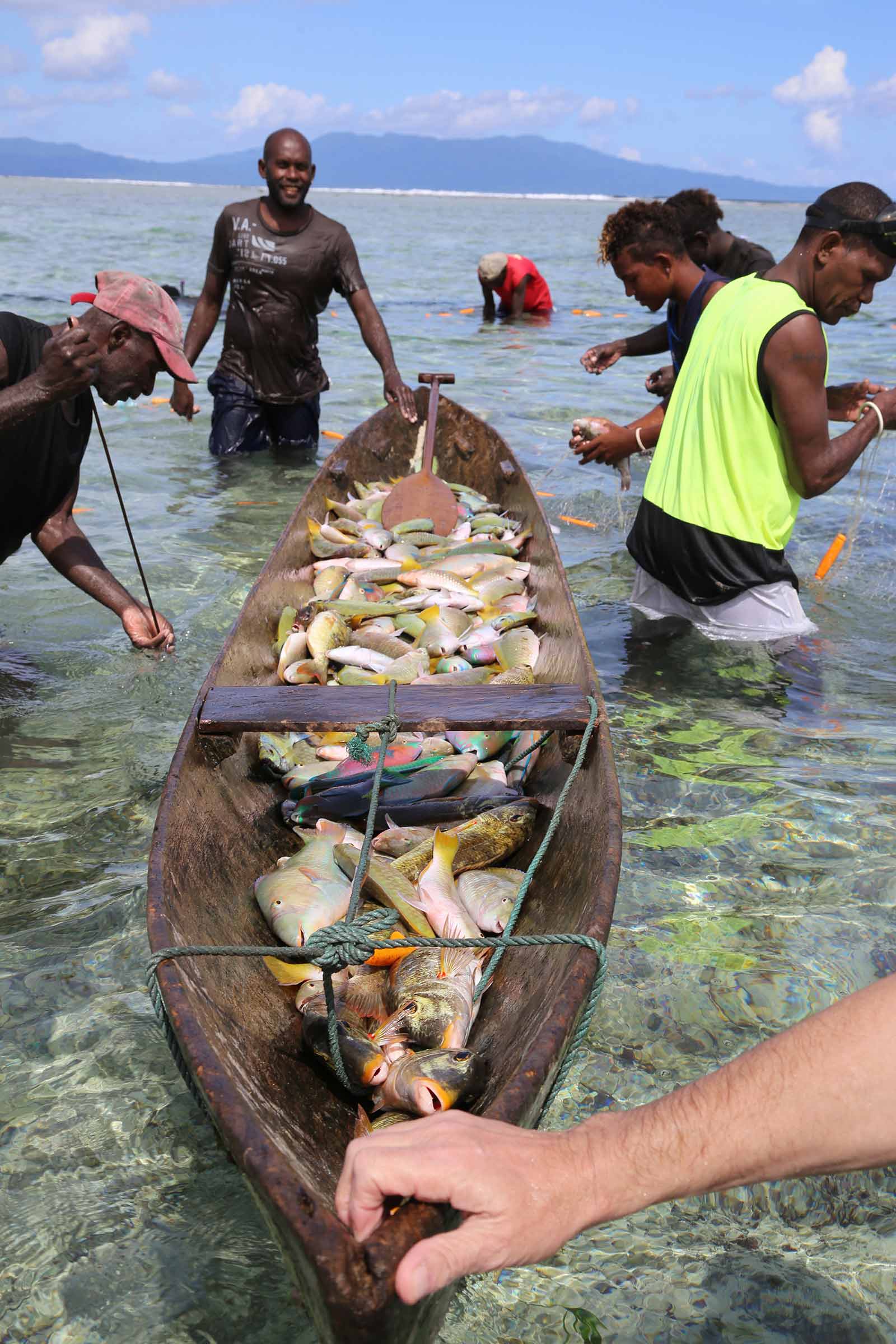 Catch of the day in the Solomon Islands | Photo by: Barry Stone