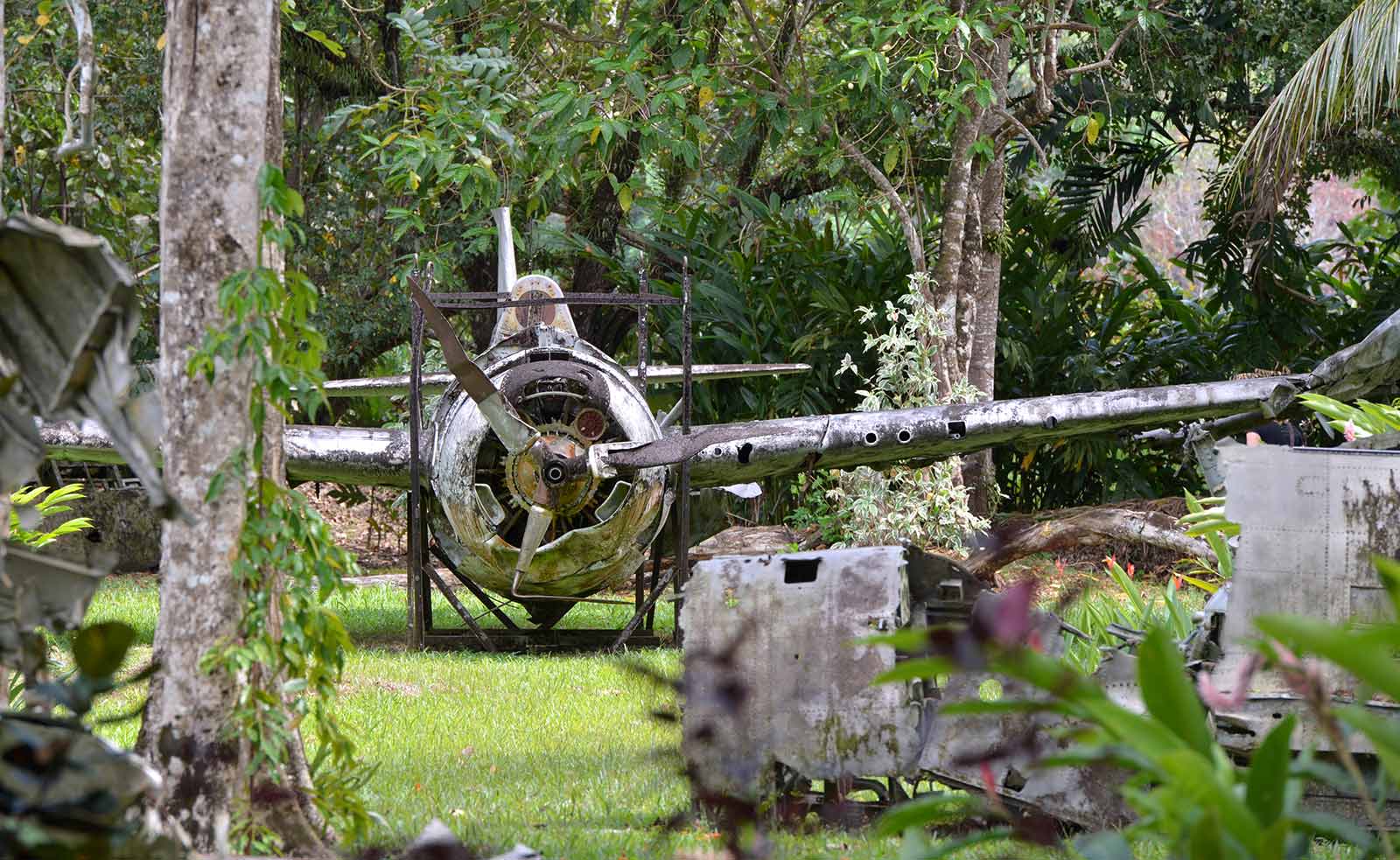 Hidden war relics near Honiara, Solomon Islands 