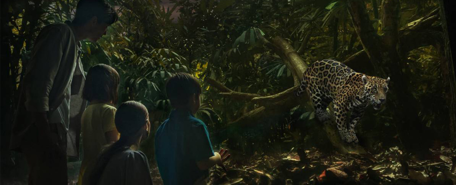 a family watches a leopard at a zoo. It is nighttime and dark