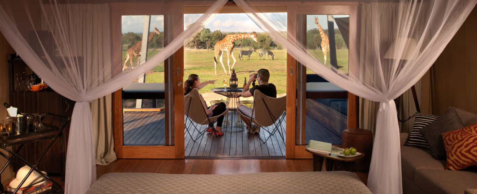 Two people looking at giraffes from the Zoofari Lodge