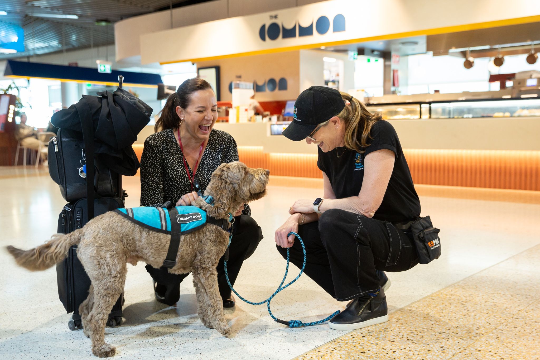 Passenger stopping to pet a therapy dog who is being held by his handler