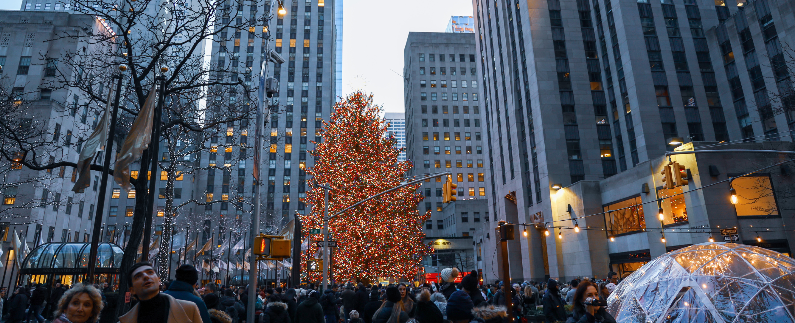 Rockefeller Tree in New York, United States