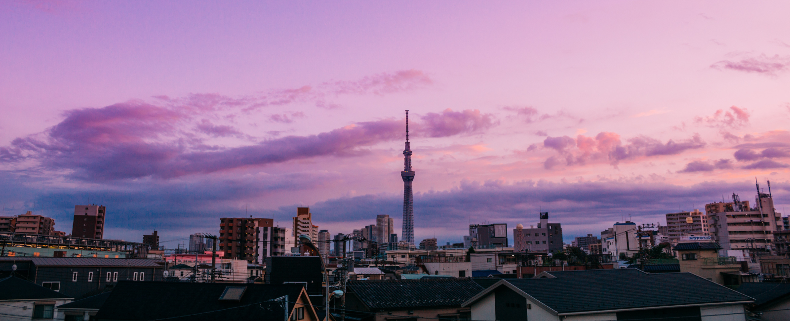 Skyline of Tokyo Skytree