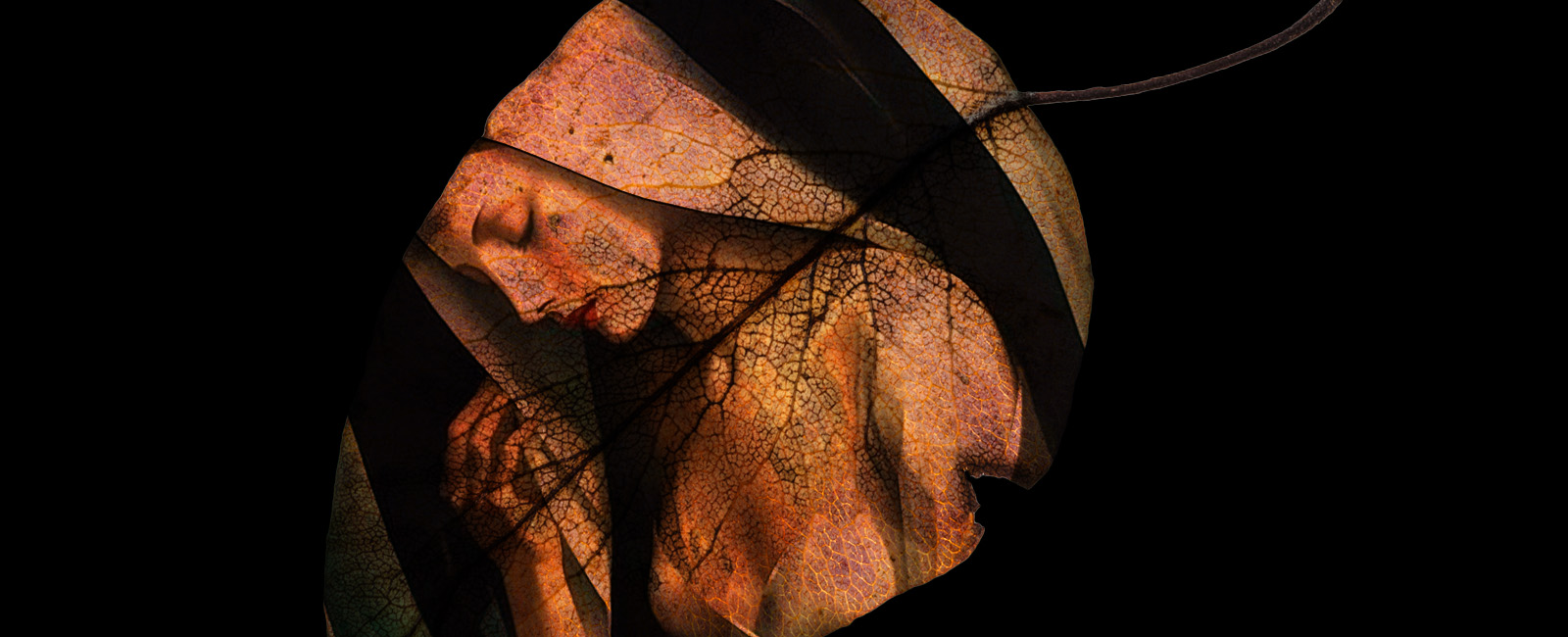 a dark image of a women projected onto a leaf