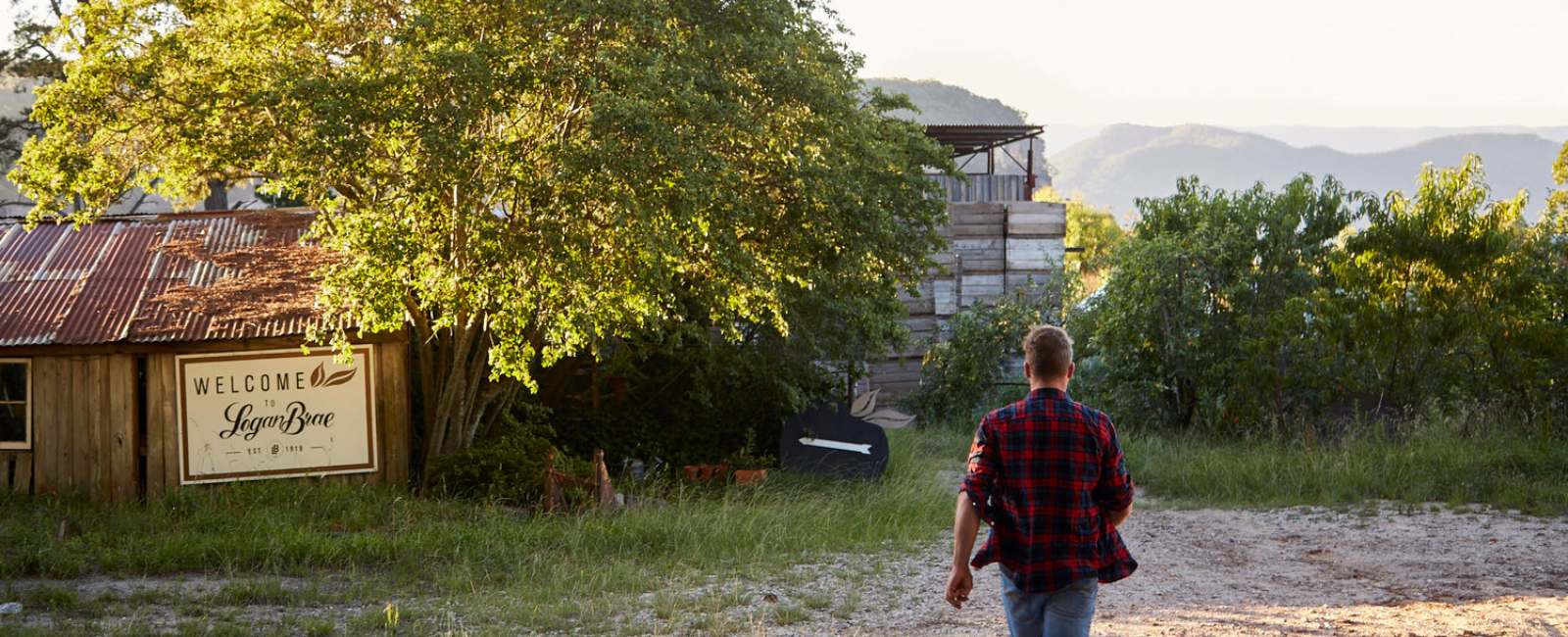 Blackheath, man walking to Logan Brae Orchards Blackheath, man walking to Logan Brae Orchards