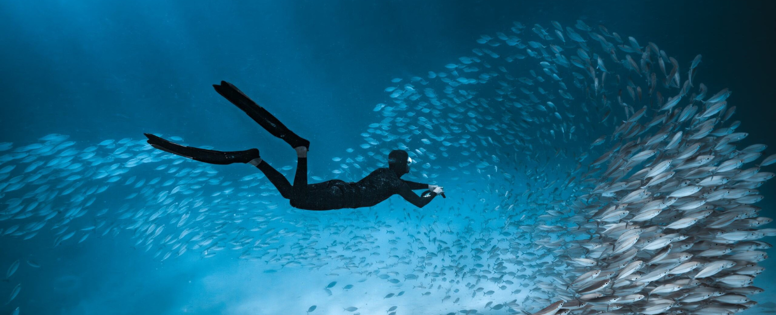 Suba Diving at Palau Suba Diving at Palau