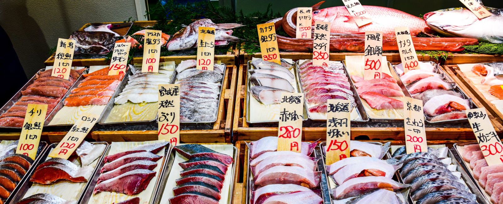 Tsukiji Fish Market Tokyo Tsukiji Fish Market Tokyo