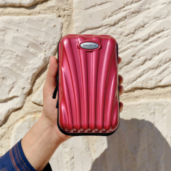 Samsonite Mini Case